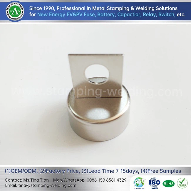 Battery Fuse Cap