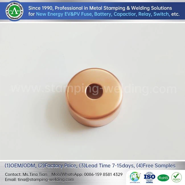 Inner Cap For Electric Vehicle Fuse