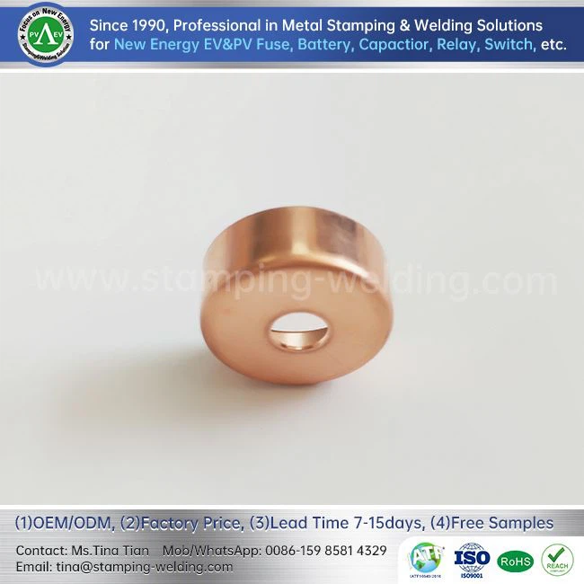 Inner Cap For Electric Vehicle Fuse