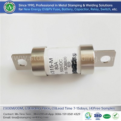 Las principales partes y funciones del fusible